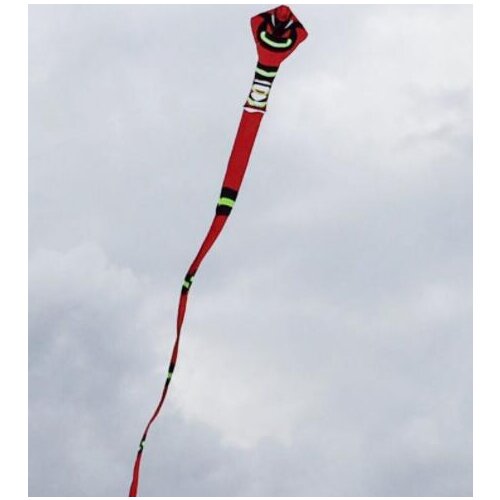 Outdoor toys kite adult flying toy kite acrobatic flying bird toy carbon kite single line fly floatant ripstop kite rainbow kite