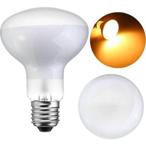 Zoog Lighting For Aquariums