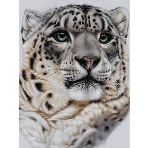 DIY 5d diamond painting leopard mazayka diamond cross stitch full square rhinestone mosaic painting kit sets embroidery beading