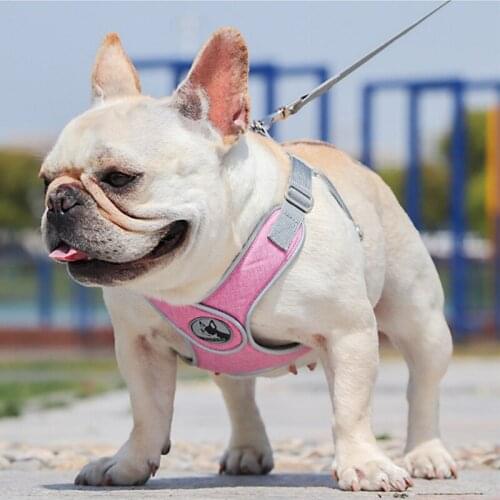 XLeiPet Collars, Harnesses And Leashes