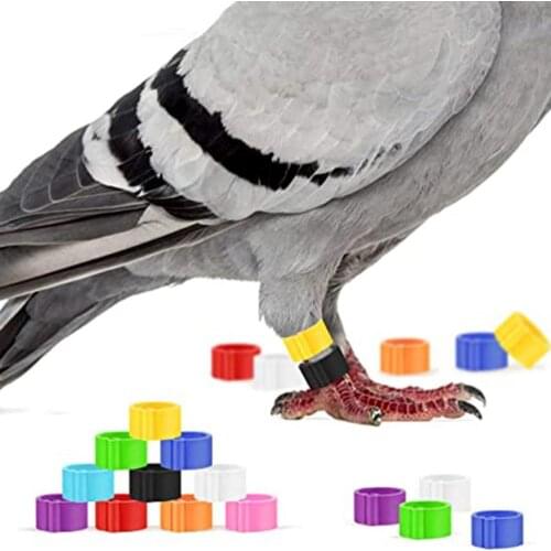 100 Pcs Pigeons Foot Rings Color Random 8mm Bayonet Identification Ring Opening Color Pigeon Foot Ring Pigeon Supplies