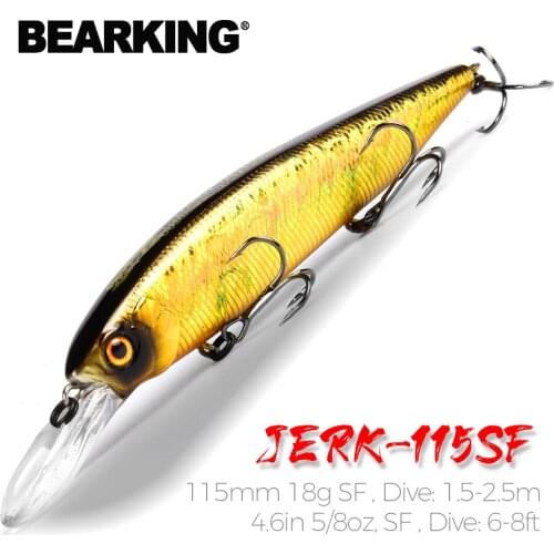 Bearking 115mm 18g new arrival slowly floating Fishing Lures Artificial Bait Predator Tackle jerkbaits for pike and bass
