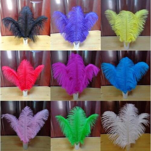 Wholesale,100pcs/lot Dyeing Ostrich Feather 30-35CM/ 12-14 "Select color FREESHIPPING