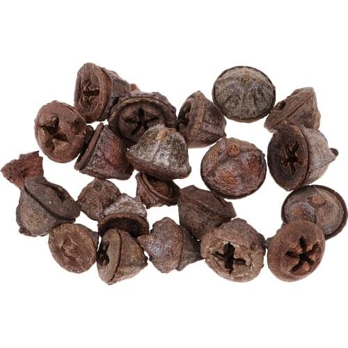 50pcs Natural Dried Flowers Fruit for Wedding Party Christmas Decoration Festival Xmas Ornament Home DIY Crafts Supplies