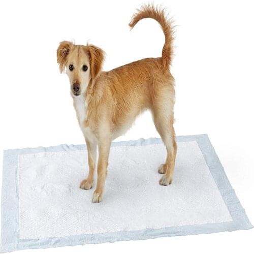 Pets Dog One time Diaper Mat Urine Waterproof Bed Absorbent Protect Mats Dog Urine Pad Puppy Pee Rug for Pets Pad Dog Car Seat