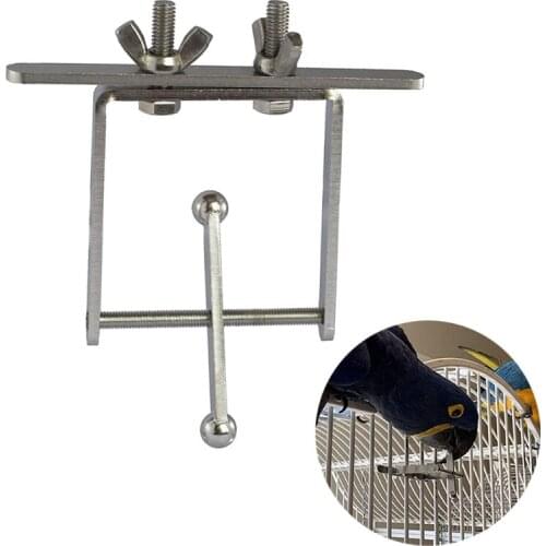 Bird Parrot Stand Toy with Traveling Spinner Stainless Steel Spins on Axis Brain Teaser and Mind Game Medium to Extra Large Bird