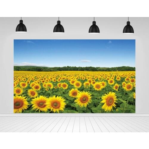 Scopiso Yellow ssunflowers field on sky background Photographic Backdrops Photo Studio Decoration Props Photography Backgrounds