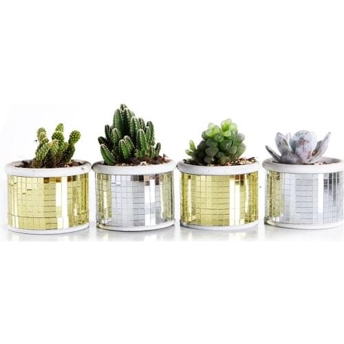 Mosaic Glassic Checkered Pattern Cement Succulent Cactus Planter Pots,Pretty Plants/Flower Pot Tiny Flower Plant Containers