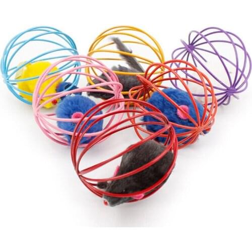 False Mouse in Rat Cage Ball
