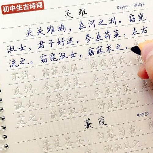2 Pcs New Learn To Write Tang Poetry and Song Ci Grooved Exercise Book Copybook Reusable Handwritten Exercise Calligraphy Books