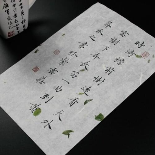 19cm*29cm Chinese Calligraphy Paper Papel Arroz Half Ripe Xuan Paper Fiber Rice Paper with Tea Pattern Painting Rijstpapier