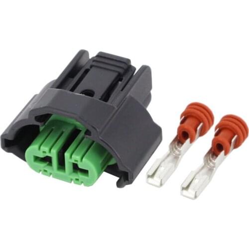 2pin car fog lights connector terminal connector with DJ70255F-3-21 Car fog lamp connector lamp holder headlamp head