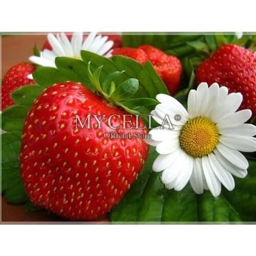 5D DIY Diamond Painting Strawberry Cross Stitch Diamond Embroidery Full Round Rhinestone Needlework Mosaic Crafts Home Decor
