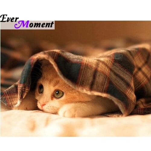 Ever Moment Diamond Painting Cross Stitch Lovely Little Cat Diy Diamond Embroidery Painting Mosaic Kit Household Craft ASF610