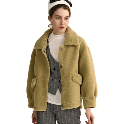 Autumn Winter Fashion Teddy Coat Women Faux Fur Coat Elegant Women Soft Fluffy Plush Overcoat Female Thick Warm Short Jacket New