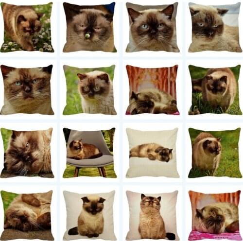 XUNYU Cushion Cover Cute British Shorthair Pillow Cover Home Living Room Sofa Decoration Throw Pillowcase 45x45 Cm B0031