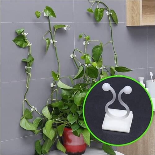 10/20/50Pcs Invisible Wall Vines Fixture Wall Sticky Hook Vines Fixing Clip Vines Holder for Home Decoration FP8