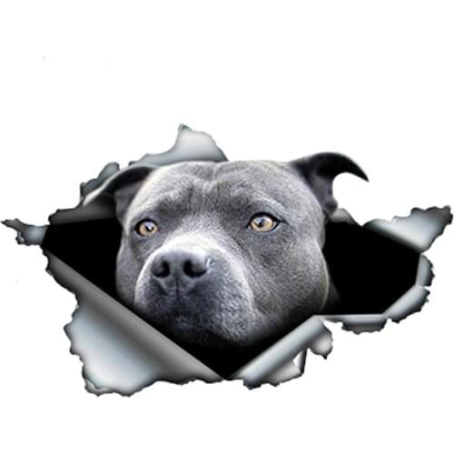 Blue Pitbull Car Sticker Torn Metal Decal Waterproof Car Styling Pet Auto Motorcycles Decoration,13cm*8cm