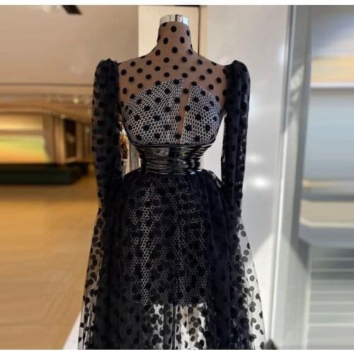Black Spot Tulle Prom Dresses Long Sleeves High Neck Vintage Women See Thru Evening Gowns Plus Size A Line Sexy Gown