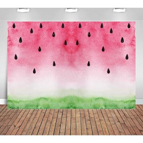 Summer Backdrop Fruit Watermelon Theme One In A Melon Photography Background Pink Melon Girl Birthday Baby Shower Party Banner