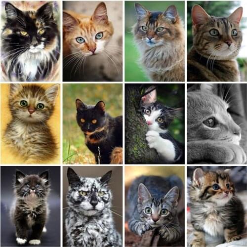 DIY Cat 5D Diamond Painting Full Square Drill Animal Diamond Embroidery Art Rhinestone Gift Home Decor Cross Stitch Kit Wall Art