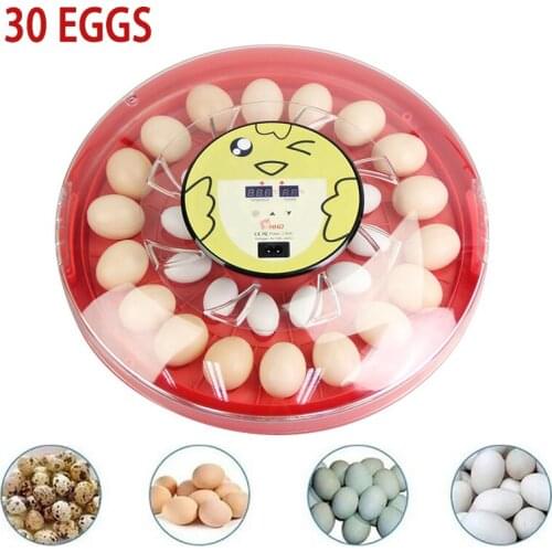 Incubator Egg Automatic Chicken Incubator 30 Eggs Turning Fully Automatic Machine For Hatchery Quail Animal Farm Hatchers