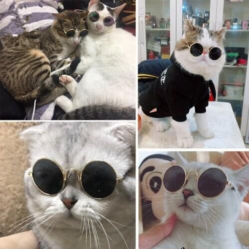 Pet Accessories Cat puppy Personality jewelry pet cat glasses cat sunglasses retro photo props puppy dog jewelry accessorie
