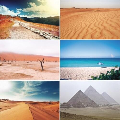 Vinyl Custom Photography Backdrops Prop Desert Theme Photography Background D20303-01