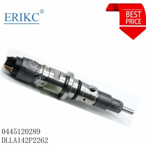 ERIKC Injector 0445120289 Common rail Auto car Parts 0 445 120 289 Oil Supply 0445 120 289 Inyector CRDI for Cummins 5268408