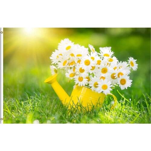 Spring Summer Floral Daisies Flower Green Grass Farm Sunrise 3x5 Feet Flag for Outdoor Indoor Home Decor
