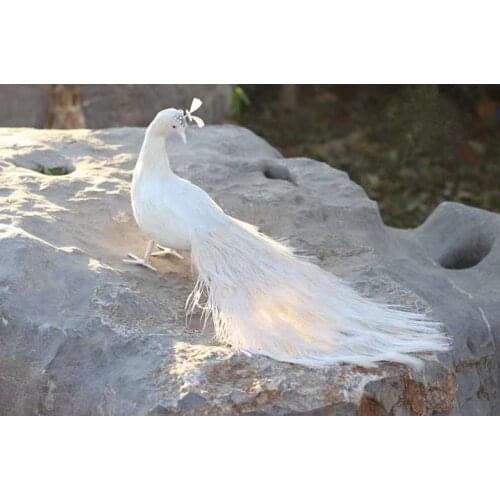 Cute real life white peacock model foam&feather simulation turned back beautiful peacock bird gift about 60cm xf2902