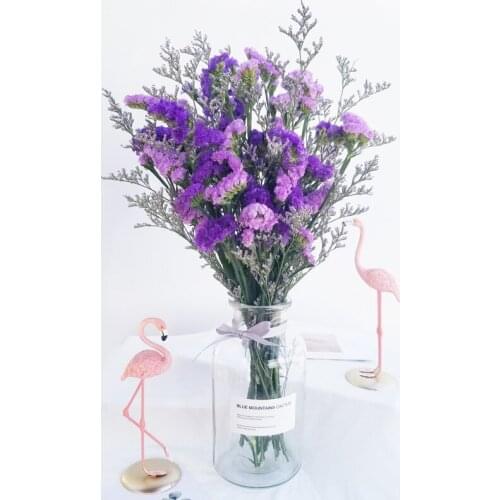 Dried Natural Flowers Lover Grass Real Forget-Me-Not Flower Bouquet Wedding Marriage Decoration Accessories Display Dry Flower