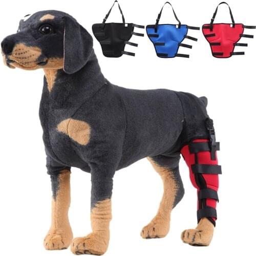 Pet Dog Leg Brace Right Left Leg Knee Hock Brace Bandages Straps Protection Dog Joint Bandage Wrap Dog Recovery Supplies