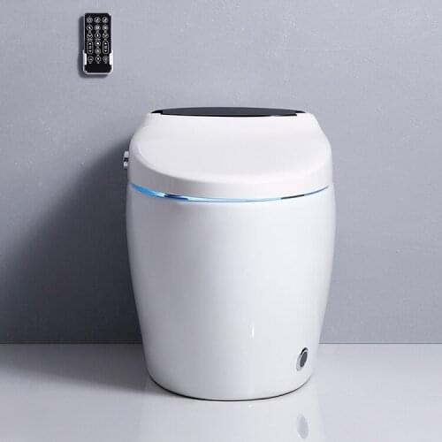 Luxury S-trap Intelligent Floor Mounted WC Remote Controlled Smart Bidet Toilet RS035A