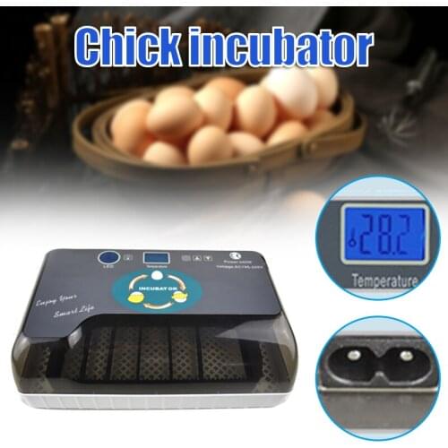 Egg Hatcher with Automatic Intelligent Temperature Control Egg Turning LED Light illuminated Home Machine XHC88