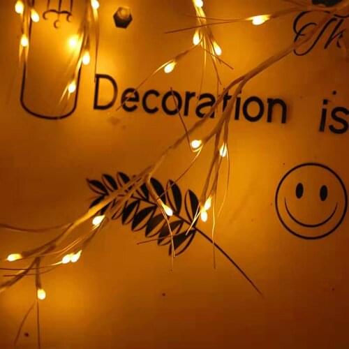 NCVHRT Festive Lighting