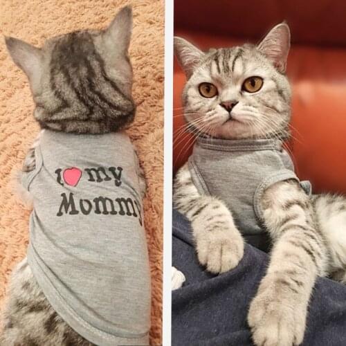 ULILICOO Clothes For Cats