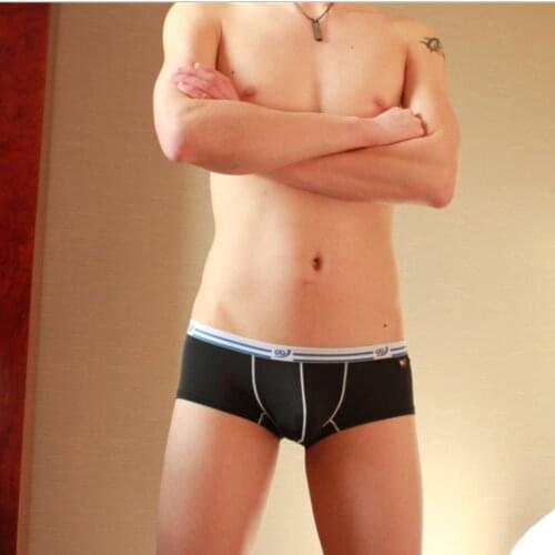 Men Underwear Boxers Soft Low Waist Underpants Breathable Cueca Boxer Para Hombre Sexy Men Shorts 1PCS