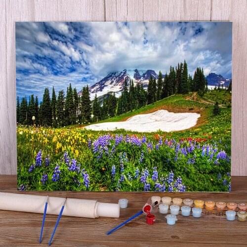 Flower Landscape Paint By Numbers Kit Acrylic Paints 40*50 Canvas Pictures New Design For Kids Art