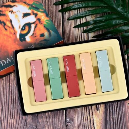 5 Colors New Lip Gloss Makeup Lip Matte Lipstick Long Lasting Waterproof Lipsticks