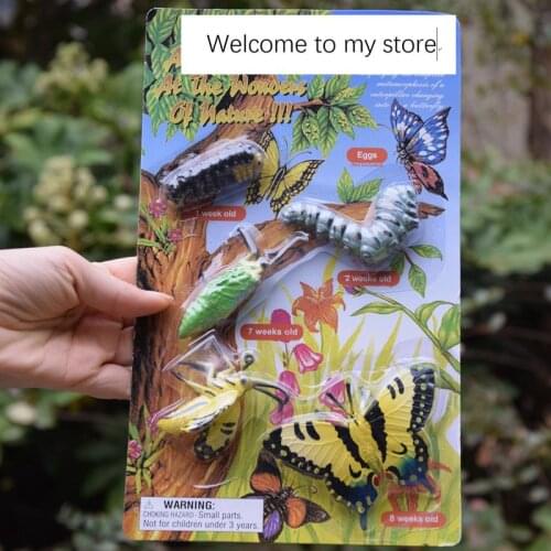 Pvc figure toy model life circle butterfly set