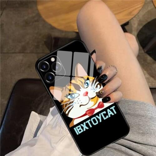 Toycat! Phone Case Glass Phone Case For iphone 12 11 Pro Max XS XR X 8 7 Plus SE2 Case