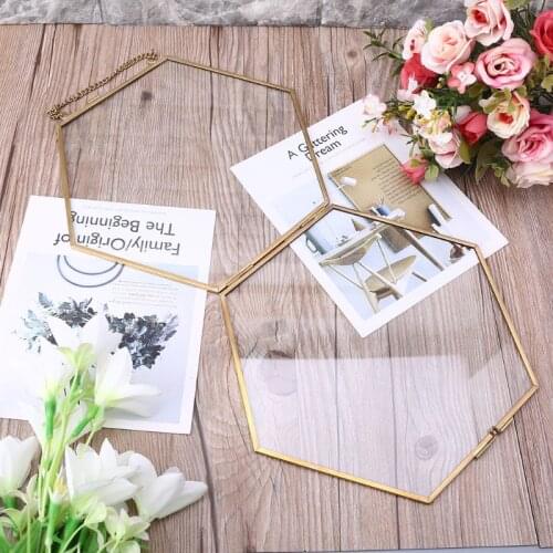 Hexagon Floating Hanging Photo Frame Metal Glass Portrait Picture Plant Specimen 37MF