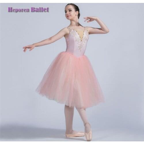 Female Adult Sky Blue Pink Ballet Dance Veil Dress Ballet Teacher Performance Costume Canopy Long Skirt
