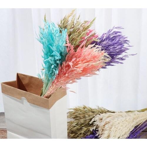 Colorful Wedding Decor Shooting Props Home Decoration Dried Flowers Bouquets Wheat Ear Grass Plant Stems Real Flower