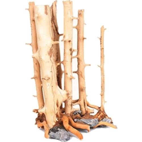 Aquarium Driftwood Natural Wood Ornament for Fish Tank Trees Forest with Rock Base Branches Decorations for Terrarium