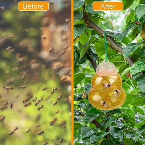 2 Pack Wasp Trap and Hornet Trap Yellow Jackets Bee Catcher Reusable Hanging or Tabletop Outdoor Trap
