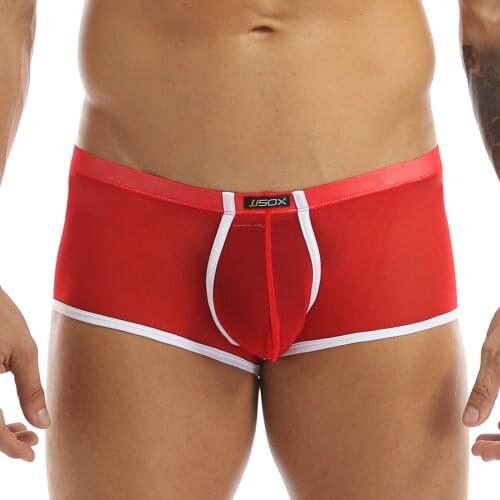 Mens Lingerie Underwear Low Rise Elastic Waistband Breathable Briefs Underpants Semi-see Through Mesh Bulge Pouch Boxer Shorts