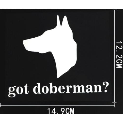 14.9CM×12.2CM Fashion Graphical Got Doberman? Vinyl Car Sticker Decals