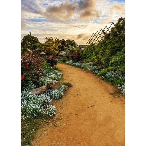 European Southeast Asian style African style forest path country shooting background photography studio background